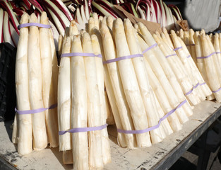bunches of white big asparagus for sale