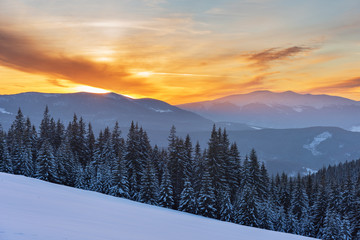 Fototapeta na wymiar A colorful evening with a beautiful sunset and dusk in the snow-covered mountains of the mountains with mountain houses in the Ukrainian Carpathians overlooking Hoverla and Petros.