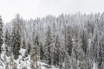 Snow magic. Walk in the ancient village of Sappada. Friuli