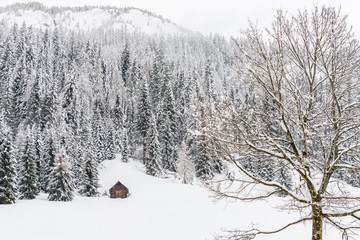 Snow magic. Walk in the ancient village of Sappada. Friuli