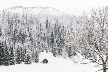 Snow magic. Walk in the ancient village of Sappada. Friuli
