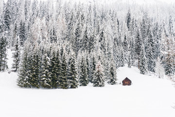 Snow magic. Walk in the ancient village of Sappada. Friuli