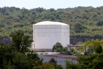 Two large white metal industrial silos in distance next to industrial plant surrounded with forest and dense vegetation on warm sunny day