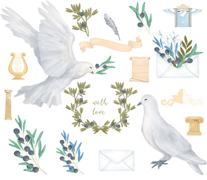 Pigeon and olive clip art digital drawing watercolor bird fly peace dove for wedding celebration illustration similar on white background