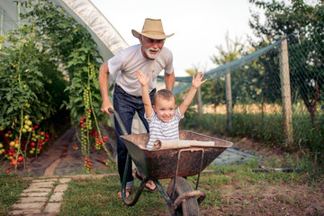 Grandfather and his grandson in greenhouse