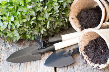 peat cups and seedling tools. gardening concept