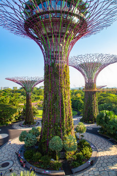 Singapure