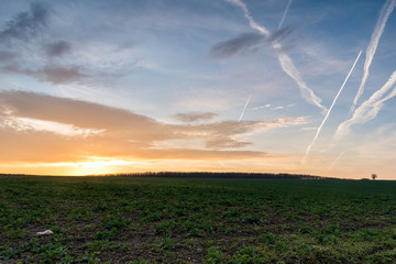 A scenic winter sunset over a large meadow.