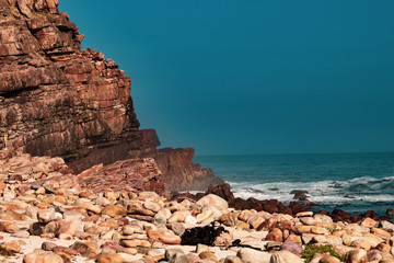 Cape of Good Hope's southern tip: amazing view, south african nature