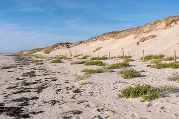 French landscape - Bretagne. Beautiful sandy beach and view over the dunes.