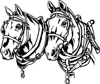 Draft Horses Vector Illustration