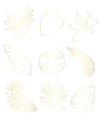 Set tropical leaf isolated. Vector illustration. Golden tropical leaf.