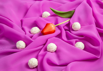  red tulip on a background of pink soft thin fabric lined with waves with white candy