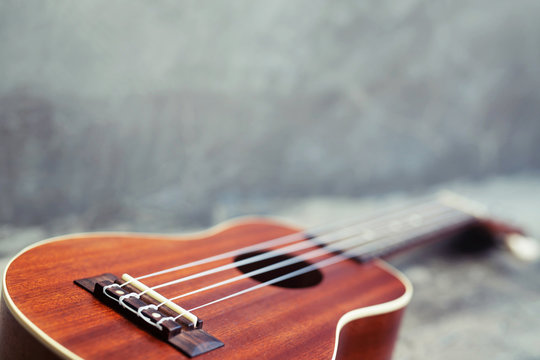 788 Best Uke Images Stock Photos Vectors Adobe Stock