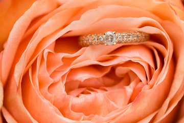 wedding rings with pink rose