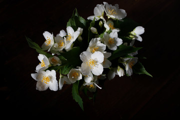 Bouquet of jasmine flowers on a black background. Photo of flowers in a dark key.