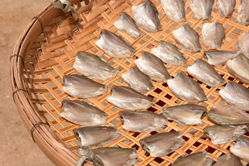 干し魚