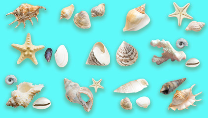 Creative idea for background. Sea pattern. Sea shells, corals, starfish.
