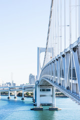 city skyline of tokyo bay, rainbow bridge in odaiba, Japan