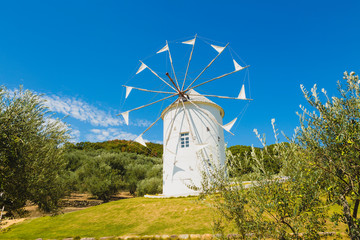 小豆島のオリーブ園の風車