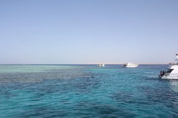 Fototapeta premium yacht in the sea