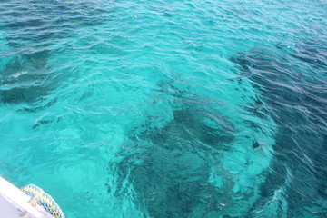 Fototapeta na wymiar blue water in the sea
