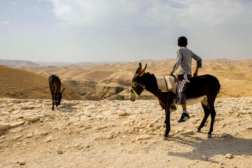 The boy on a donkey against the background of the  Judaean Desert, Israel.  13-09-2015