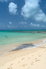 Palm tree shadow on Caribbean beach