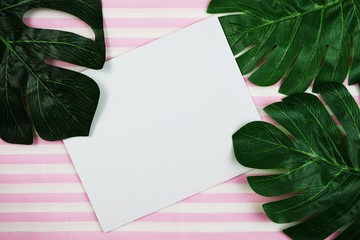 tropical leaves monstera and space copy on pink background