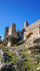 Fototapeta na wymiar Historical castle of Becin