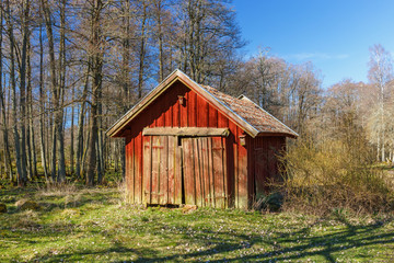 Fototapeta premium Red wooden shed in a woodland