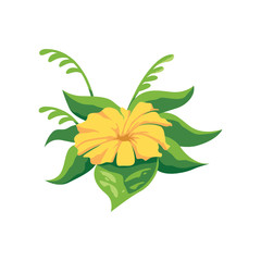 set of beautiful flowers and leafs invitation card