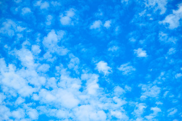 Blue sky with white fleecy clouds