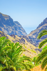 Masca Gorge in Tenerife