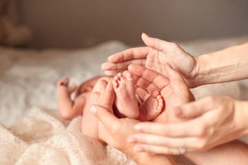 legs newborn baby in the hands of his parents