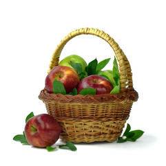 Apple harvest. Ripe  apples in the basket  on  white background. Isolated. Copy space.
