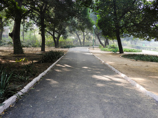 Fototapeta na wymiar Empty road in park