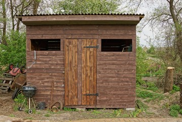 one brown rural wooden shed stands in a green garden