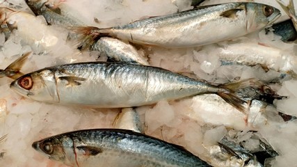 Saba fish at fresh supermarket 