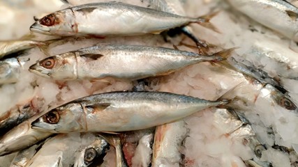 Mackerel fish at fresh seafood shop 