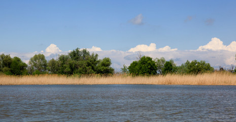 Beautiful spring landscape Delta of the Volga. Astrakhan Region. Wild nature of Russia.