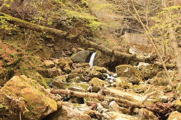 那須塩原温泉・竜化の滝