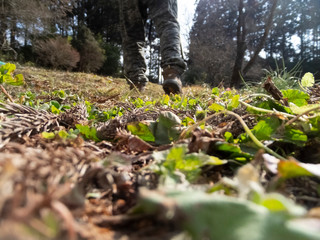 ウォーキング・健康