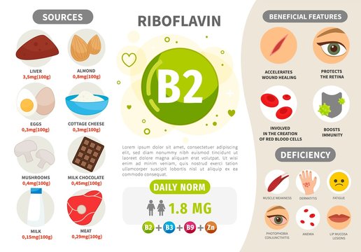 Infographics Vitamin B2. Products containing vitamin. Daily norm. Symptoms of deficiency. Vector medical poster.