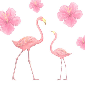 Pink watercolor flamingo character digital clip art cute two birds tropical summer set illusration Pink flowers on white background © Anna Terleeva