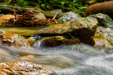 Tropical river stream flowing through mossy rock and green rain forest