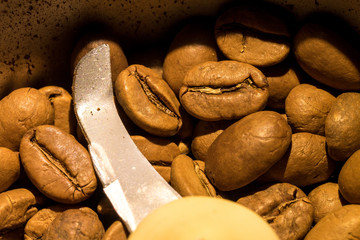 Macro photo of freshly ground coffee in electric coffee grinder with roasted coffee beans inside and coffee grains close-up view of the top.
