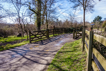 Fototapeta na wymiar muddy country road through the park through the wooden gate, there are wooden fences on both sides of the road, puddles on the road