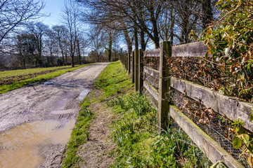 Fototapeta premium spring day after rain, muddy country road along the old park with wooden fence on the right, puddles and tire imprints on the road
