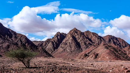 Mountains in the desert